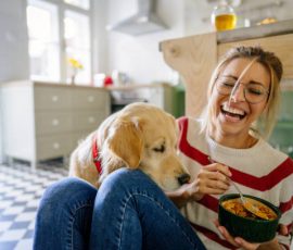 Quels sont les inconvénients de la pâtée pour un chien ?