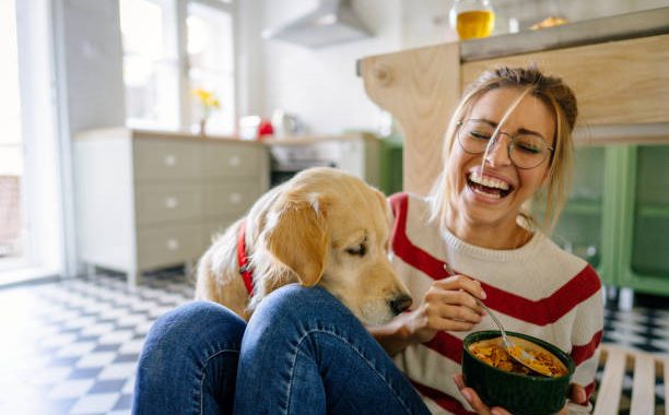 Quels sont les inconvénients de la pâtée pour un chien ?