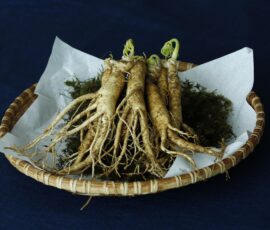 Le Ginseng noir : quels sont ses bienfaits ?