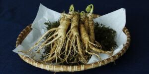 Le Ginseng noir : quels sont ses bienfaits ?
