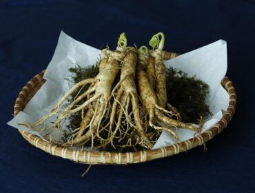 Le Ginseng noir : quels sont ses bienfaits ?