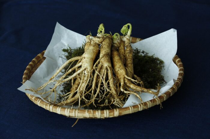 Le Ginseng noir : quels sont ses bienfaits ?