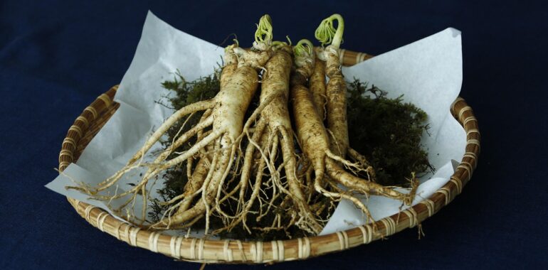 Le Ginseng noir : quels sont ses bienfaits ?
