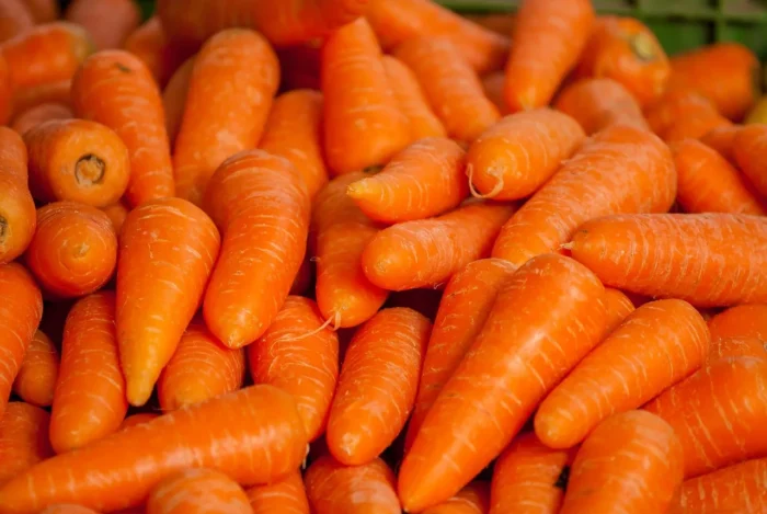 5 façons d'adopter une cuisine saine pour prévenir les maladies